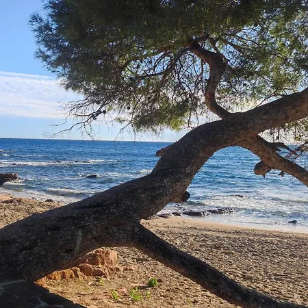 Апартаменты T2 Meuble A 300m De La Сен-Рафаэль