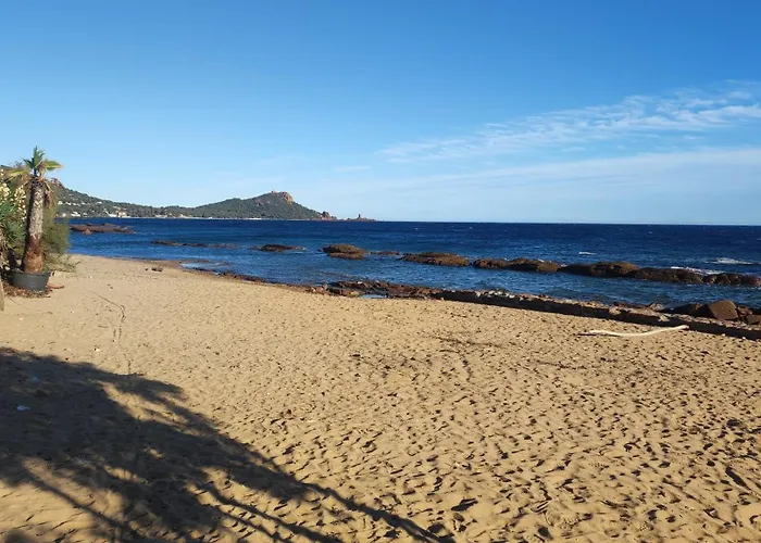 Lägenhet T2 Meuble A 300m De La Saint-Raphaël